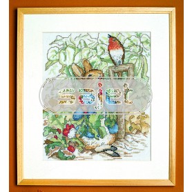 borduurpakket beatrix potter, peter rabbit