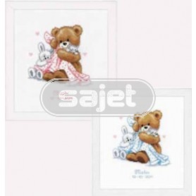 borduurpakket geboorte mateo/sylvia (incl. blauw/rose garen)