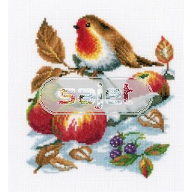 borduurpakket roodborstje op sneeuwtak