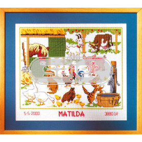 borduurpakket boerderij, geboorte matilda 