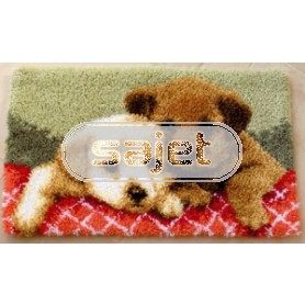 knoopkleed puppies