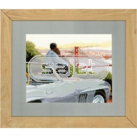 borduurpakket "romantisch vergezicht"