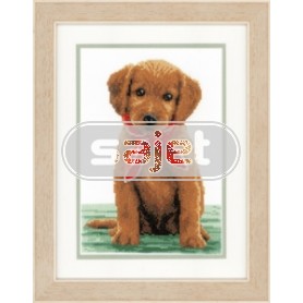 borduurpakket labradorpup met rode sjaal