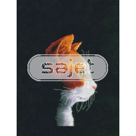 borduurpakket kitten