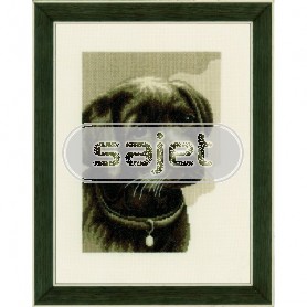 borduurpakket labradorpup