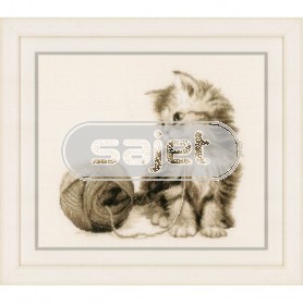borduurpakket kitten spelend met bol wol
