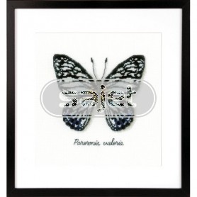 borduurpakket insecten, blauwe vlinder