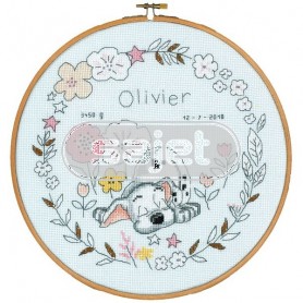 borduurpakket 101 dalmatiërs, geboorte