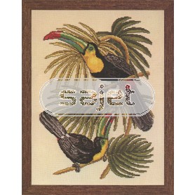 borduurpakket vogels, toekans