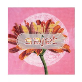 borduurpakket grote zinnia