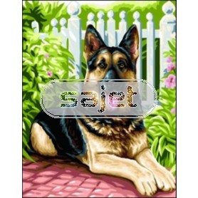 stramien herdershond