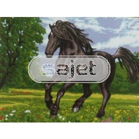 stramien zwarte hengst in galop