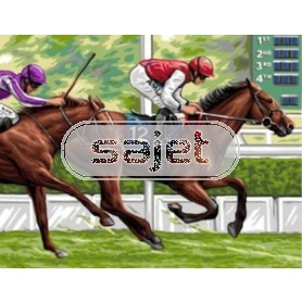 stramien + garenpakket, paardenrace