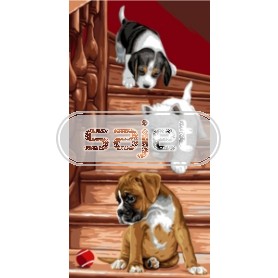 stramien + garenpakket, hondentrio spelend van de trap…