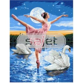 stramien + garenpakket, ballerina op zwanenmeer