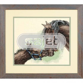 borduurpakket paard met veulen