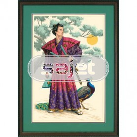 borduurpakket samurai