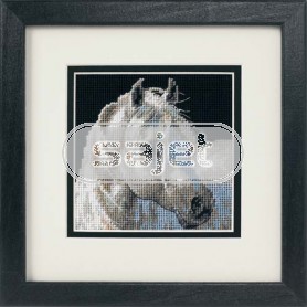 halve kruissteekpakket schimmel (klein)