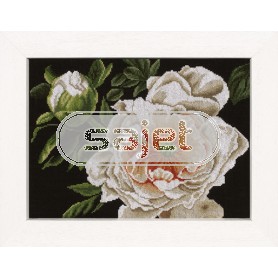 borduurpakket pioenrozen op zwart