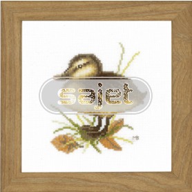 borduurpakket marjolein bastin, eendje-2