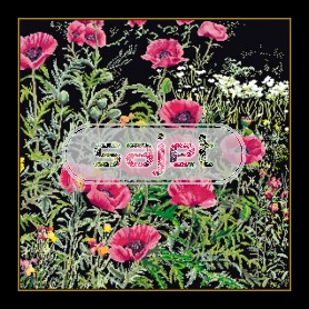borduurpakket papavers rose op zwart