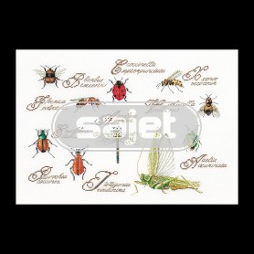 borduurpakket insekten