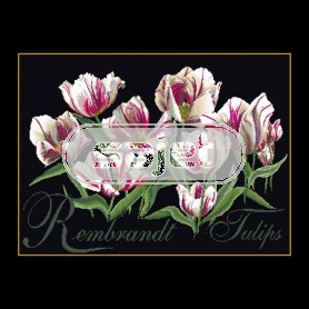 borduurpakket rembrandttulpen op zwart