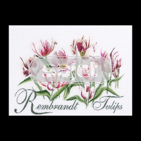 borduurpakket rembrandttulpen