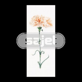 borduurpakket peach anjer