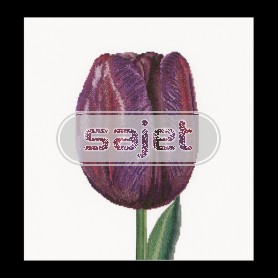 borduurpakket tulp-1