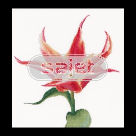 borduurpakket tulp-11