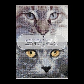 borduurpakket cats, jack&luna