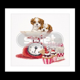 borduurpakket puppy's op weegschaal