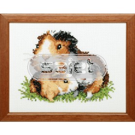 borduurpakket cavia's