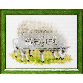 borduurpakket schaap met lammetje