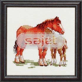 borduurpakket paard met veulen