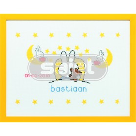 borduurpakket dick bruna, geboorte bastiaan