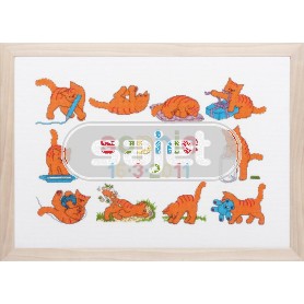 borduurpakket dikkie dik, geboorte sophie