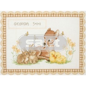 borduurpakket geboorte georgia