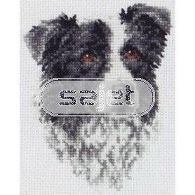 borduurpakket border collie