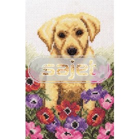 borduurpakket labradorpup