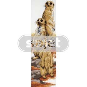 borduurpakket stokstaartjes