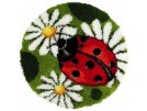 knoopkleed margrieten/lieveheersbeestje