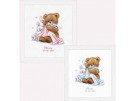 borduurpakket geboorte mateo/sylvia (incl. blauw/rose garen)