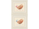 borduurpakket geboorte jaden/jade (incl. blauw/rose garen)