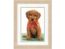 borduurpakket labradorpup met rode sjaal