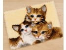 knoopkleed drie poezen