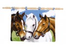 kruissteekwandkleed drie paarden