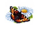 knoopkleed vlinder op margriet