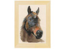 borduurpakket paard